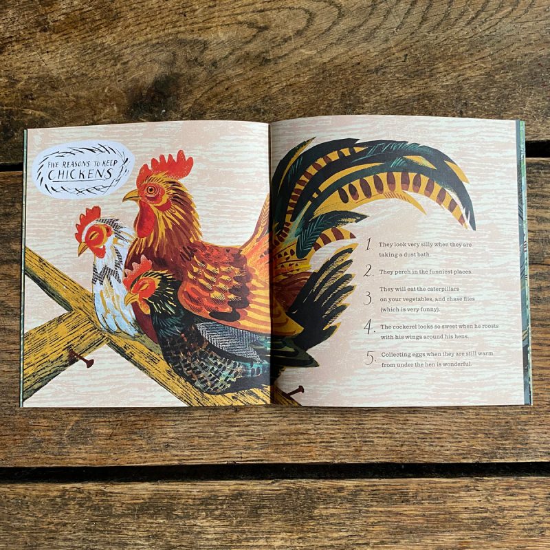 Animal Poems - Nicola Davies & Mark Hearld - Image 3