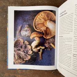 Journeys In Natural Dyeing by Kristine Vejar and Adrienne Rodriguez