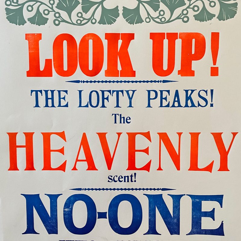 Look Up, Letterpress Poster - Image 2