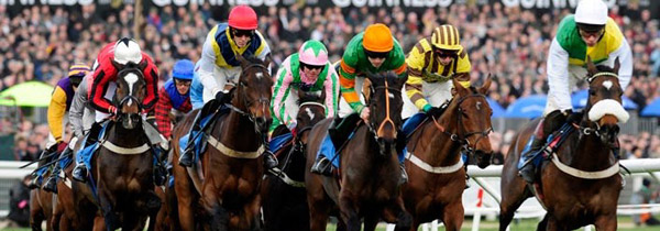 The Cheltenham Gold Cup Week