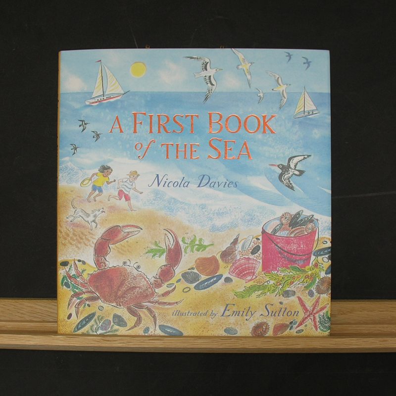 A First Book of the Sea