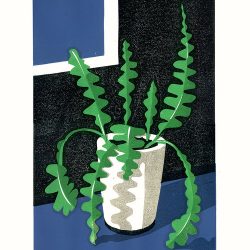Fishbone Cactus by James Brown