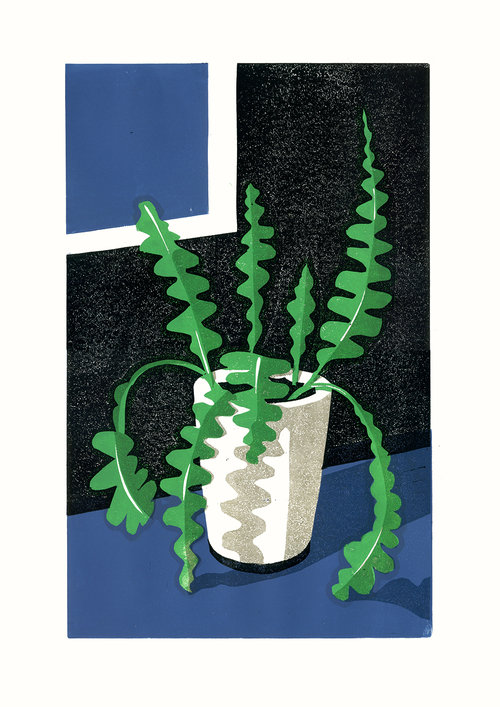 Fishbone Cactus by James Brown