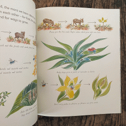 Lots: The Diversity of Life on Earth by Nicola Davies