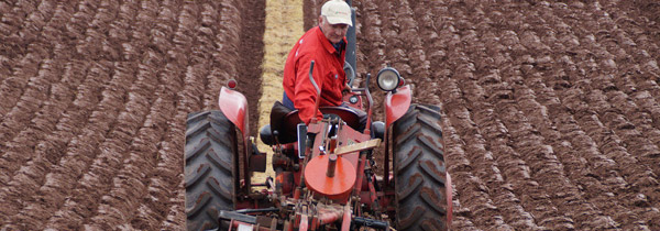 The Trumpet and District Agricultural Society