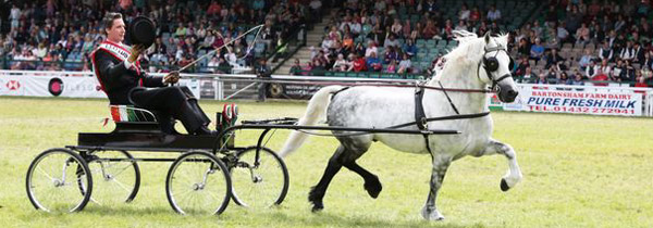 The Royal Welsh Show