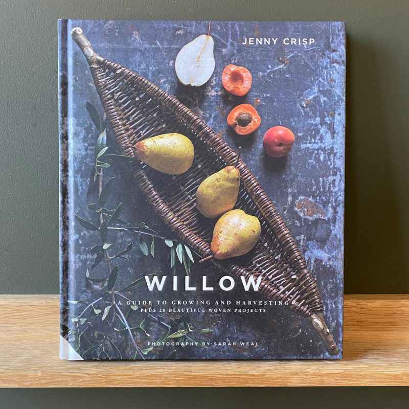 Willow by Jenny Crisp