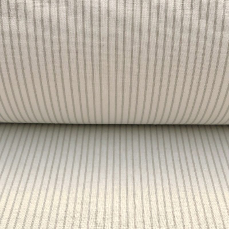 Lining Stripe Cream