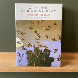 Wild Life In a Southern Country by Richard Jefferies