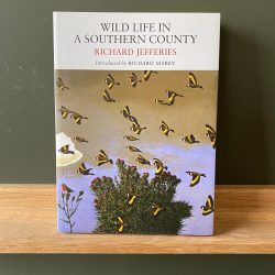 Wild Life In a Southern Country by Richard Jefferies