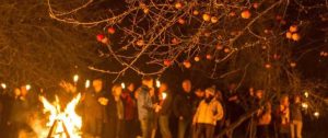 Herefordshire Wassail Ledbury