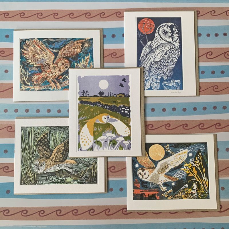 Owl Card Collection
