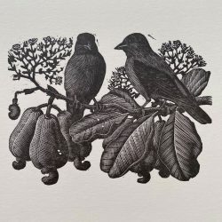 Charles Tunnicliffe