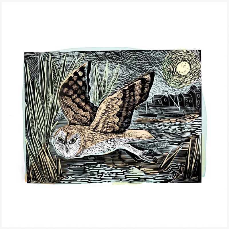 Marsh Owl by Angela Harding