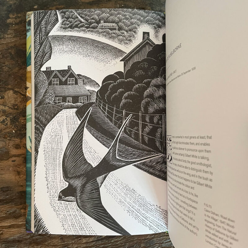 Drawn to Nature: Gilbert White and the Artists by Simon Martin