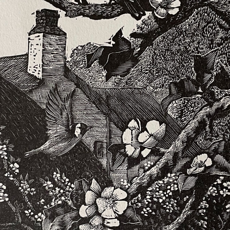 Finches by Charles Tunnicliffe