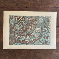 Little Owl, Unframed Print by Mark Hearld