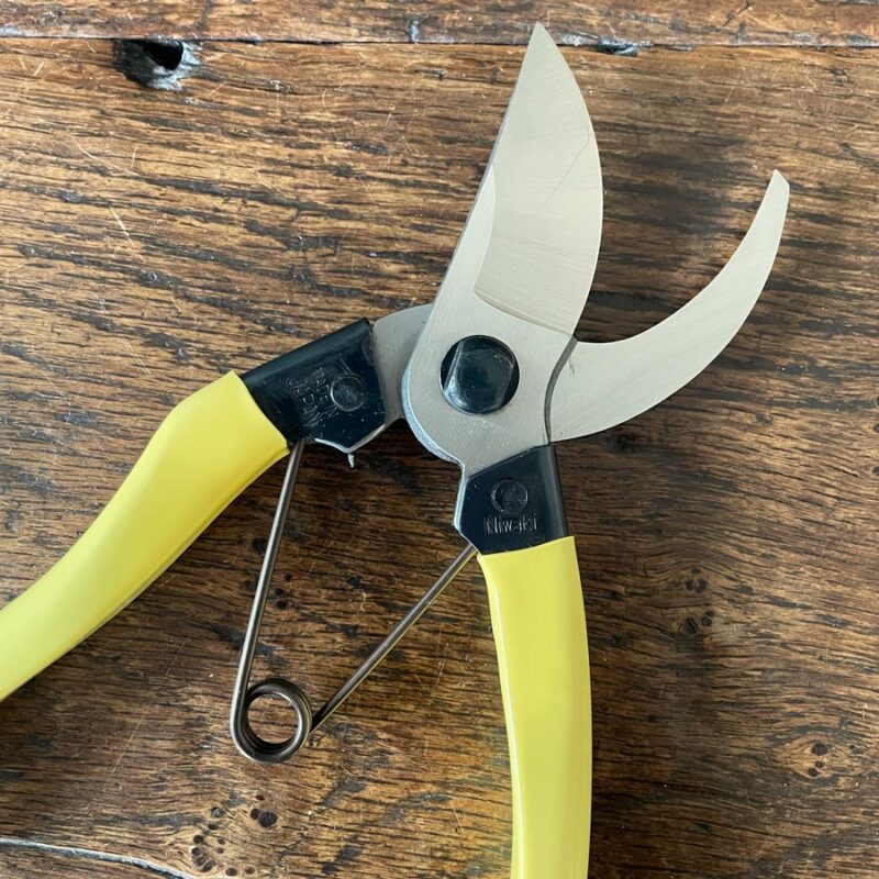 Niwaki Mainichi Secateurs