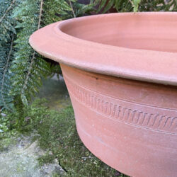 Plain Shallow Terracotta Garden Pot