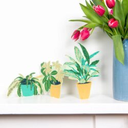 Recycled Paper Pop Out Card - Houseplants