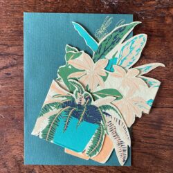 Recycled Paper Pop Out Card - Houseplants