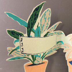 Recycled Paper Pop Out Card - Houseplants