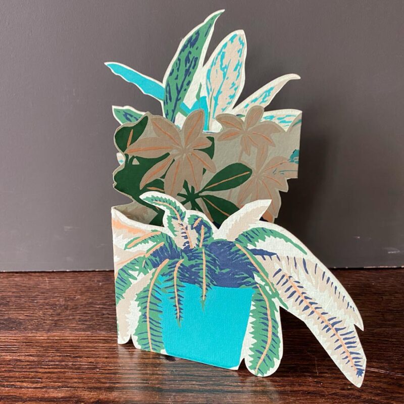 Recycled Paper Pop Out Card - Houseplants