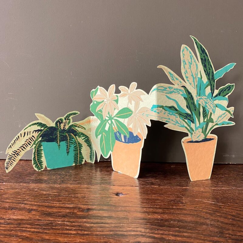 Recycled Paper Pop Out Card - Houseplants