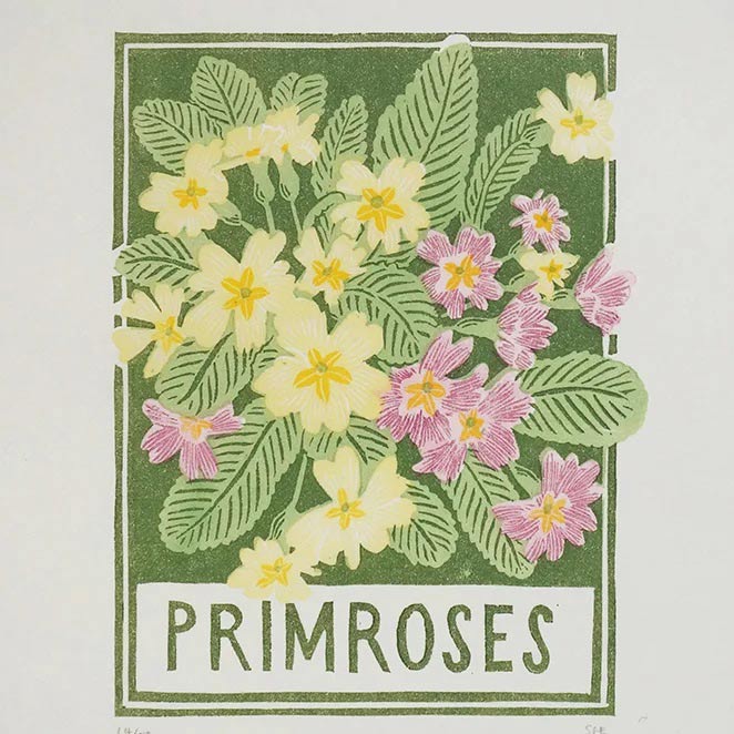 Primroses by Sophie Elm
