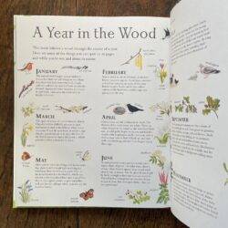 Mouse's Wood by Alice Melvin