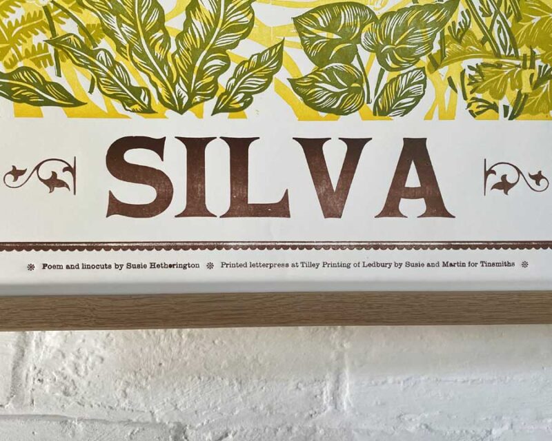 Silva, Letterpress Poster - Susie Hetherington - Image 4