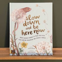 Slow Down And Be Here Now by Laura Brand
