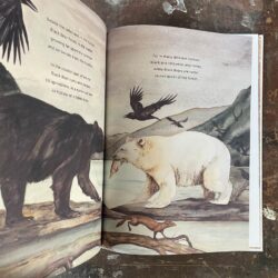 Something About A Bear by Jackie Morris