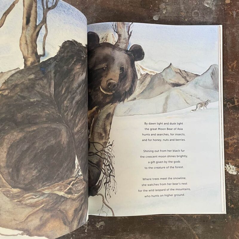 Something About A Bear by Jackie Morris