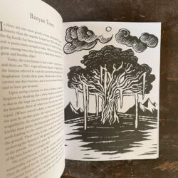 Treasury of Folklore: Woodlands & Forests by Dee Dee Chainey & Willow Winsham