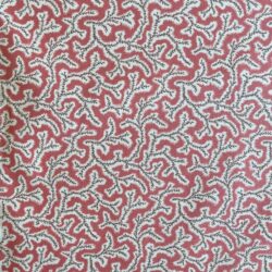 Dulcie Print - Coral