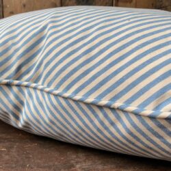 Alpha Stripe Cushion - Blue