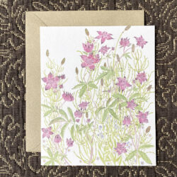 Angie Lewin watercolour postcards Tinsmiths