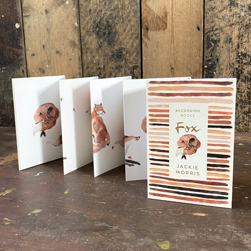 Accordion Book Fox Jackie Morris Tinsmiths