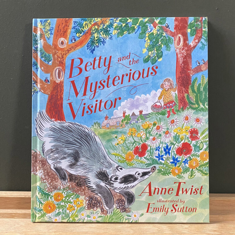 Betty and the Mysterious Visitor Anne Twist Emily Sutton Book Tinsmiths