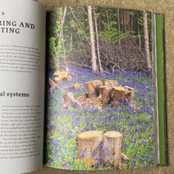 Traditional Woodland Crafts book By Ray Tabor Tinsmiths