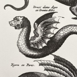 Dragons Print Passenger Press Tinsmiths