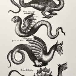 Dragons Print Passenger Press Tinsmiths
