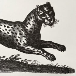 Leopard Print Passenger Press Tinsmiths