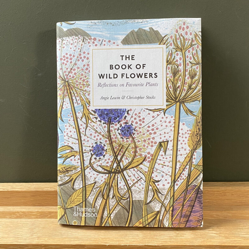 Book of Wild Flowers Angie Lewin Christopher Stock Tinsmiths