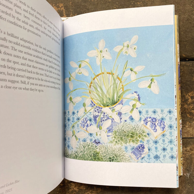 Book of Wild Flowers Angie Lewin Christopher Stock Tinsmiths