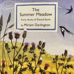 Poetry Pamphlet The Summer Meadow Candlestick Press Tinsmiths Ledbury