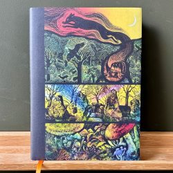 Wild Folk Book by Jackie Morris & Tamsin Abbott